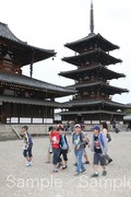 tatsuta_nanbu_2012_05_18