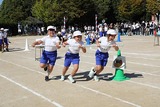 gakuto_2023_11_12
