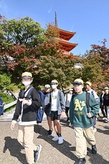 tsushima_higashi_2025_11_24