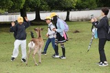 masanori_2026_05_07