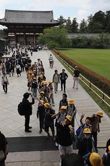 miwa_2026_05_20