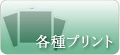より大きなサイズでプリントしたい方はこちらプリントサービス